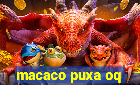 macaco puxa oq